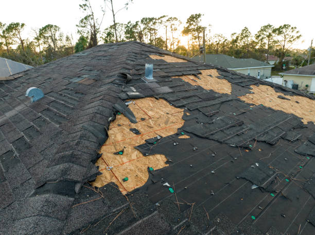 Skylights in Rothschild, WI